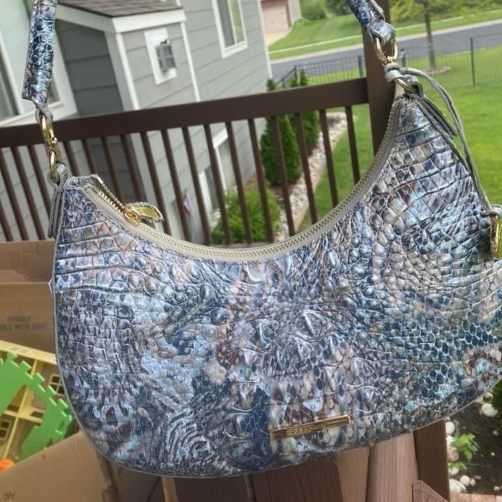 Brahmin Bekka Icy Python - Picture 5 of 5